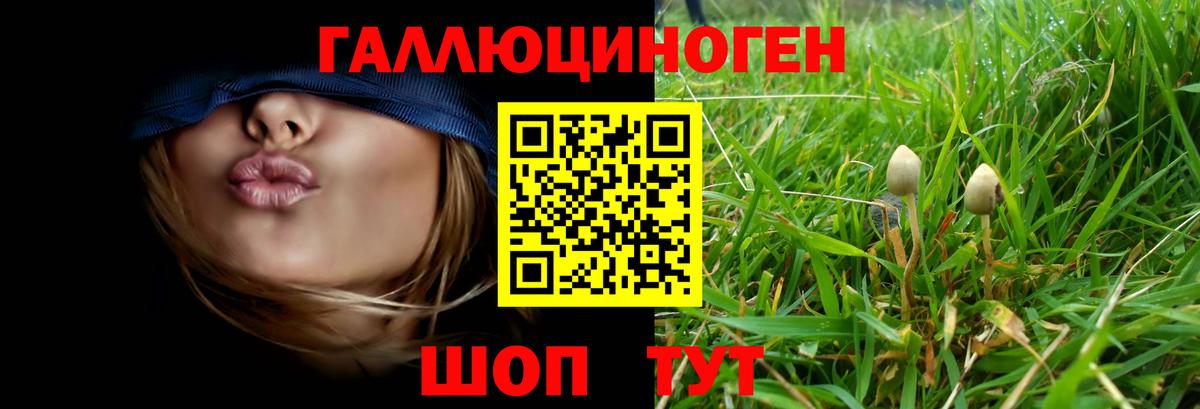 Псилоцибиновые грибы ЛСД Белореченск